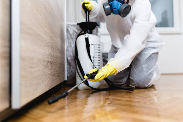 Best Pest Removal Services  in Meridian Hills, IN