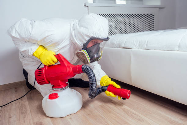 Flea Control Services in Meridian Hills, IN