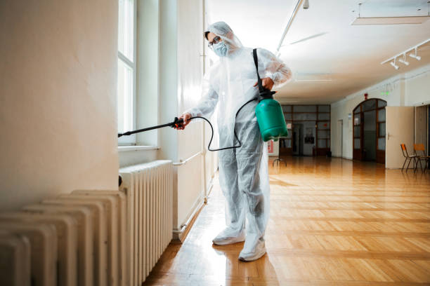 Best Affordable Pest Control Services  in Meridian Hills, IN